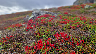 GreteR_20230910_64fe027fa994d.jpg