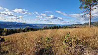 GreteR_20231007_65219cc07be77.jpg