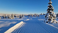 GreteR_20231118_6558eb56655de.jpg