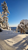 GreteR_20240107_659b12b8db308.jpg