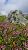 GreteR_20240711_668ff55f0a101.jpg