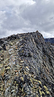 GreteR_20240721_669cd3accd7ab.jpg