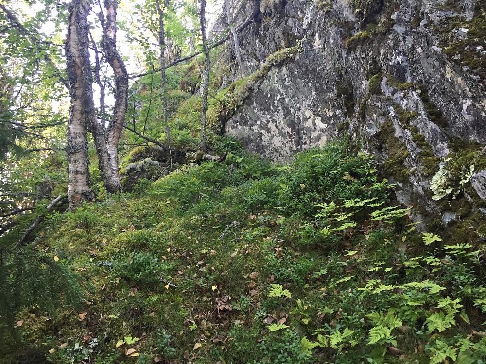 oppgangen til toppen