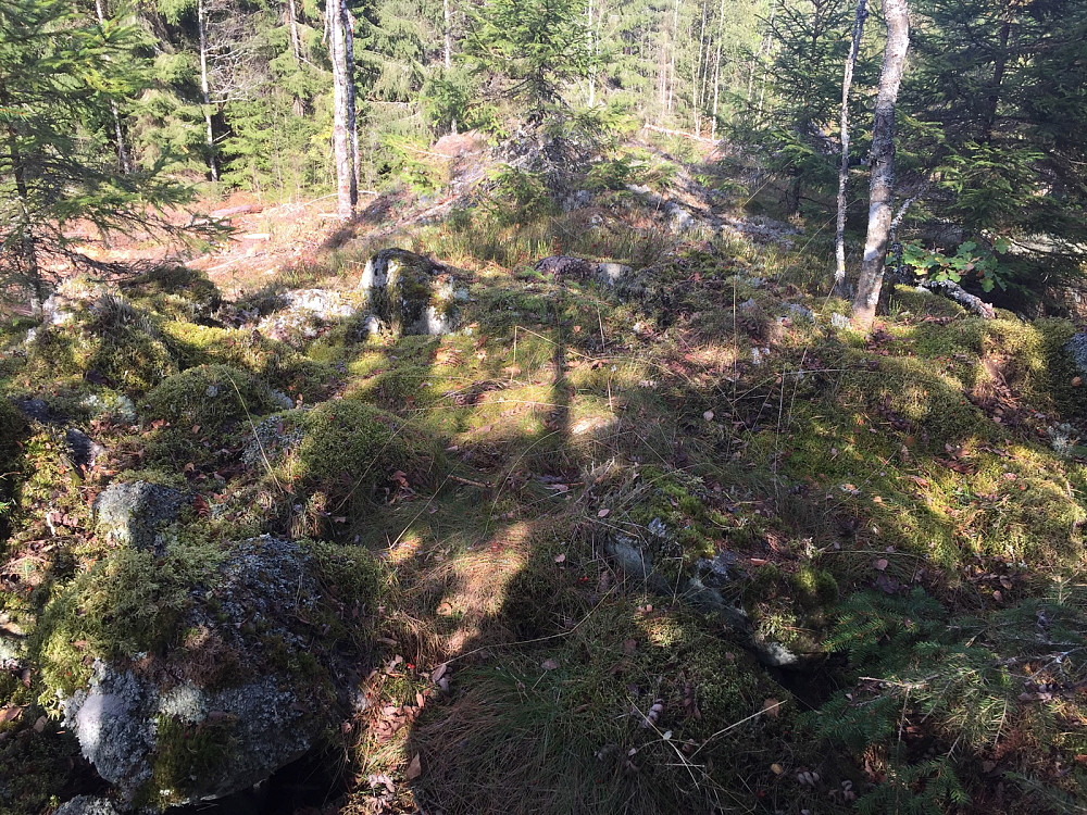nord-øst fro Hamborg