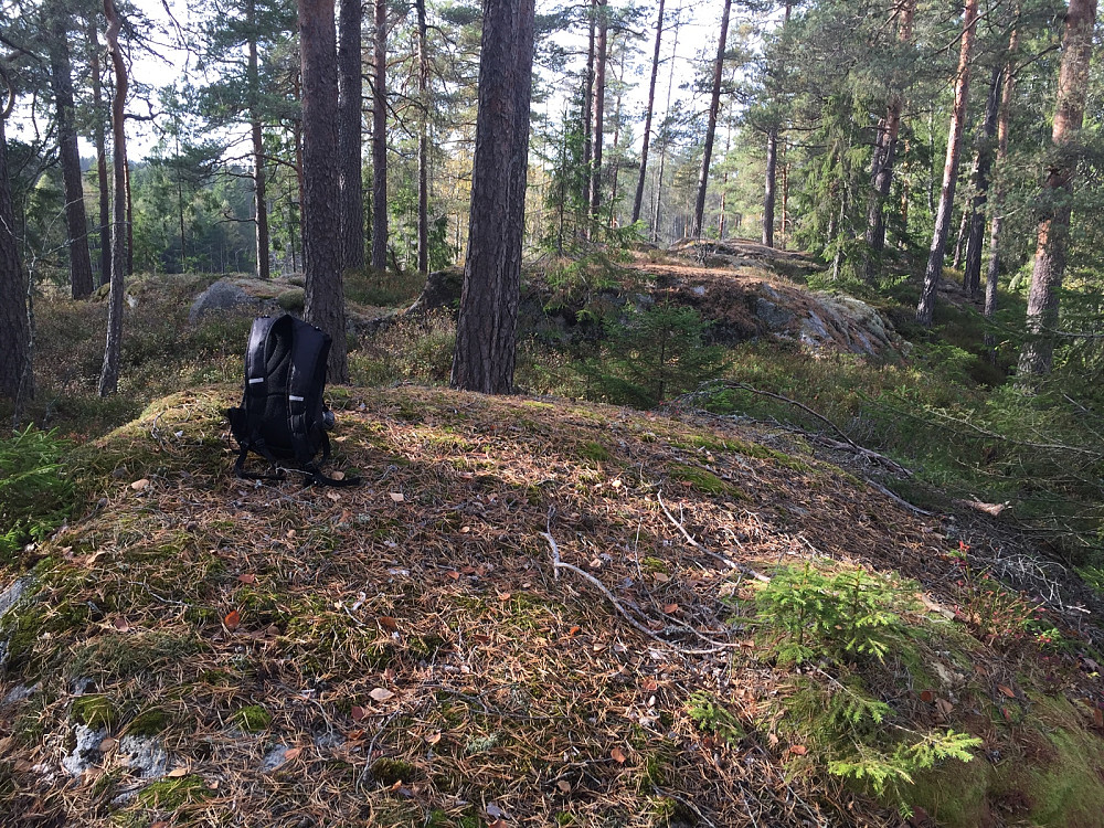 Tiuråsen sør