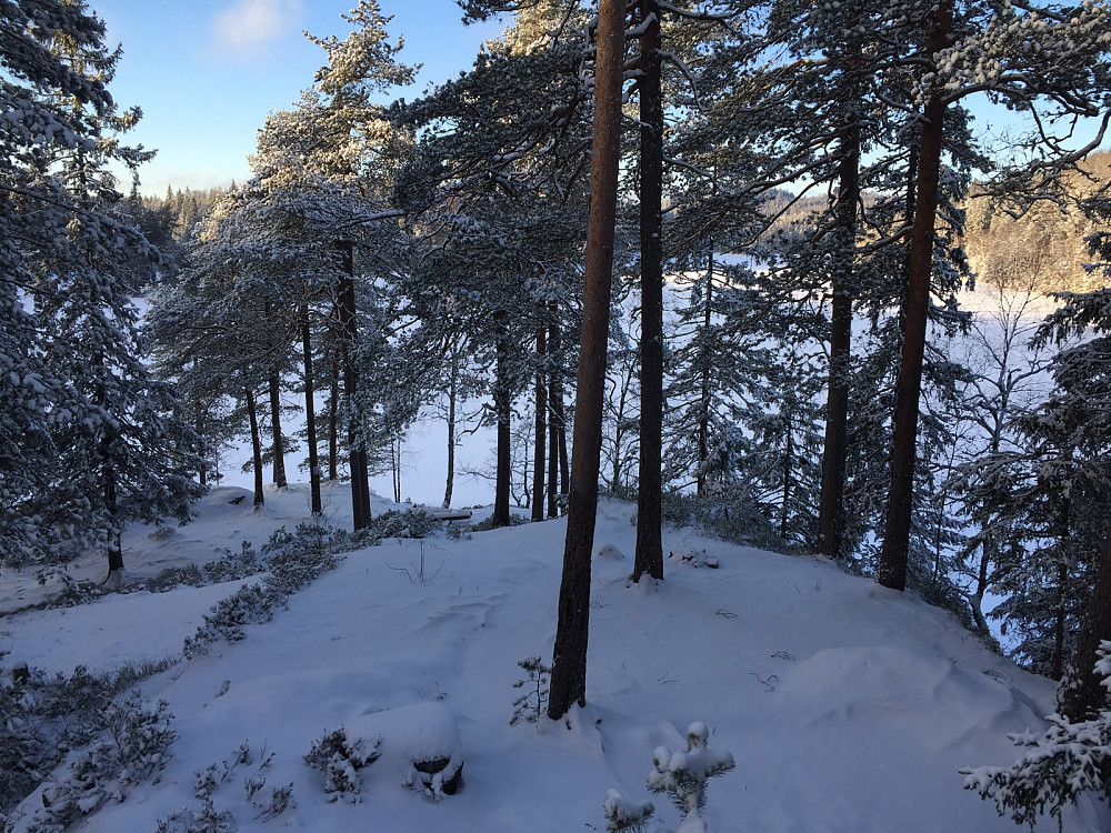Tonepølsa mot Tonevann
