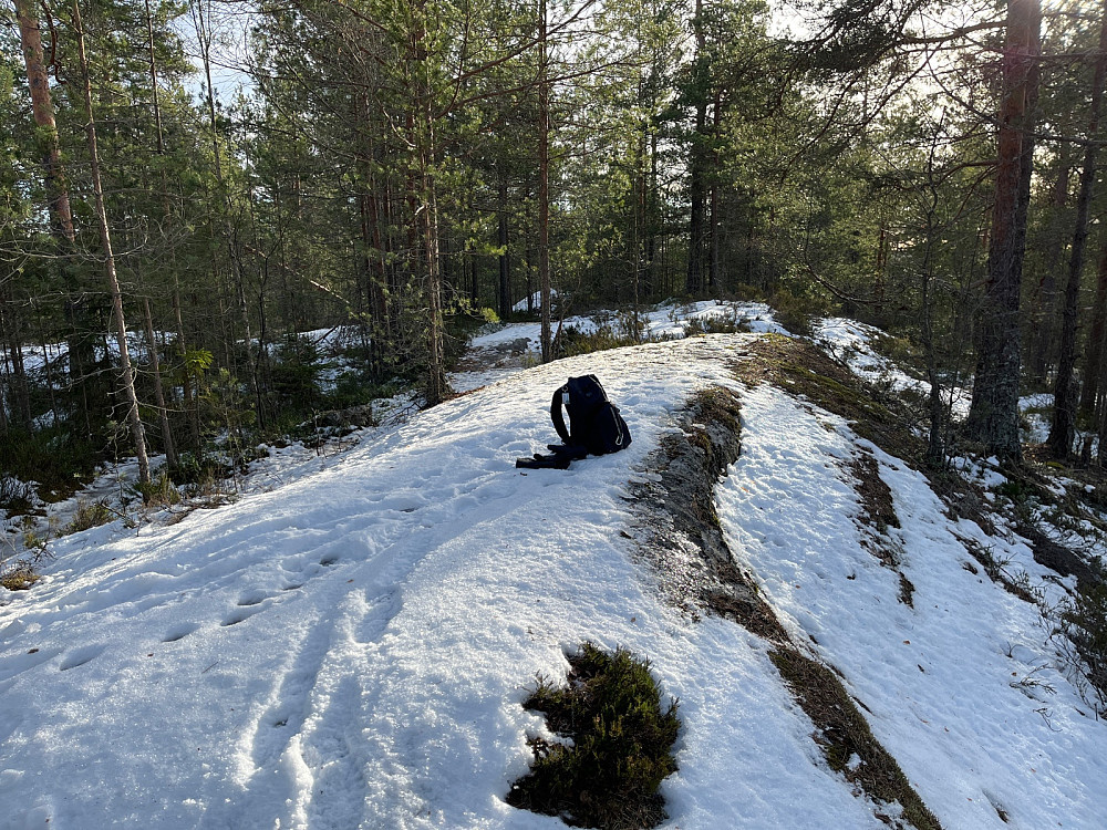 Taraldrudåsen