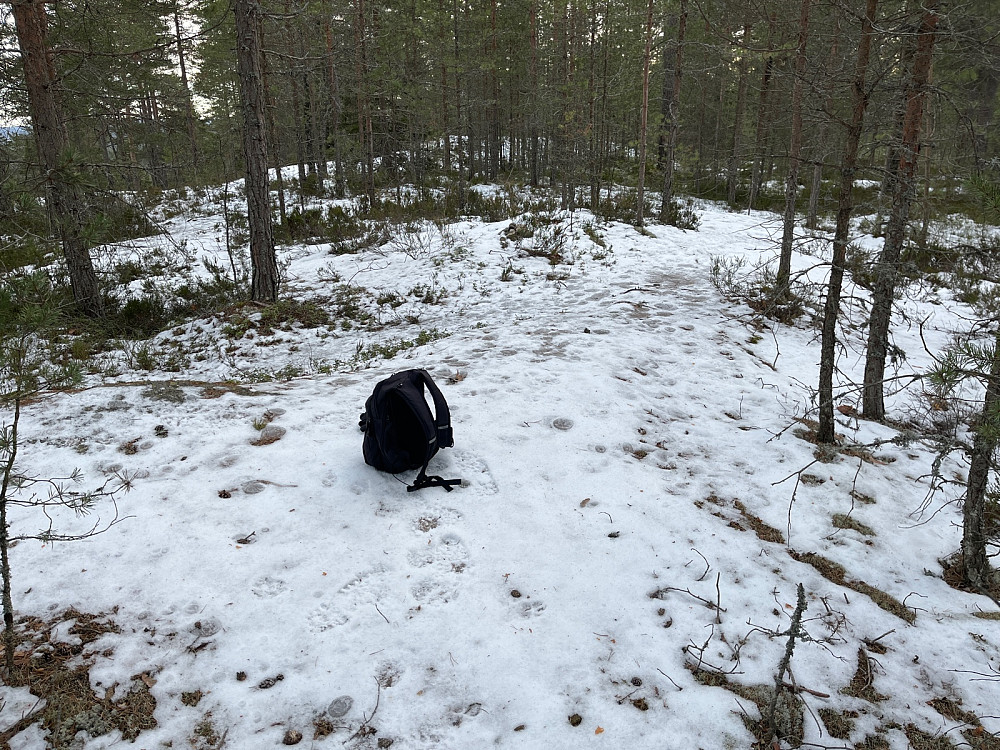 Langåsen