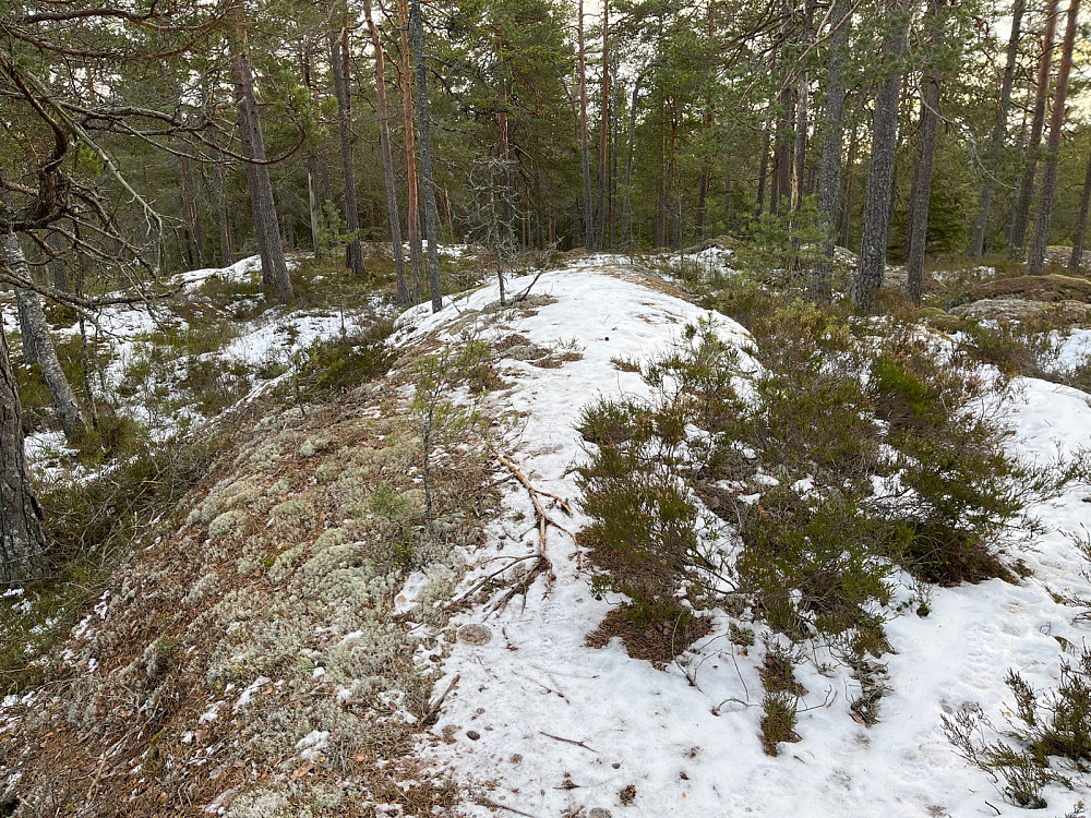 Bråtenåsen