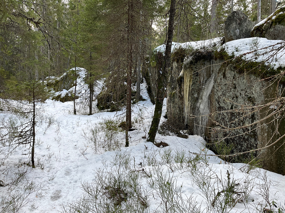 Typisk geo i Sørmarka