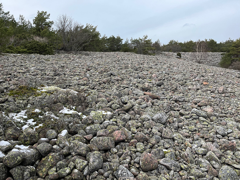 Masse rullesteiner ved Ramlareberget