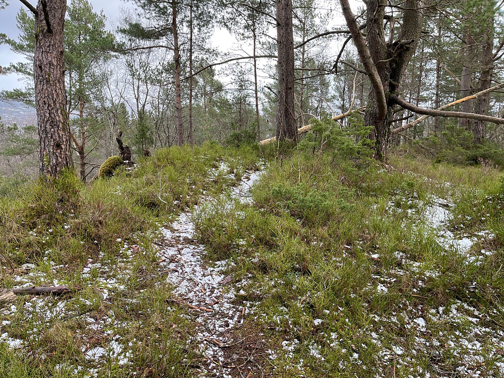 Dolvikfjellet