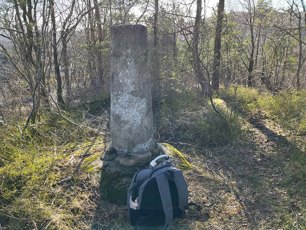 Varden