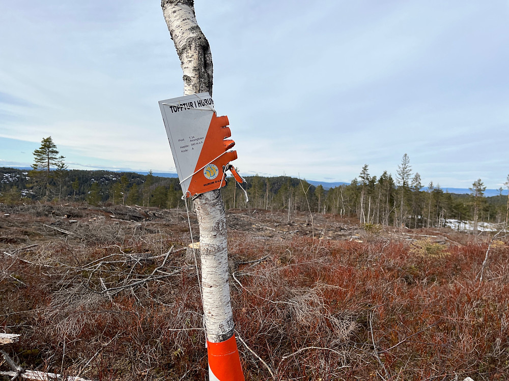 Aklangfoten med flott utsikt