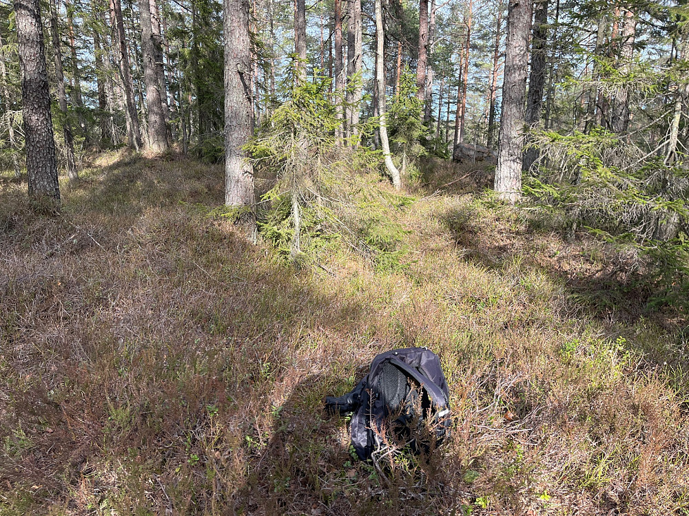 Nilsåsen