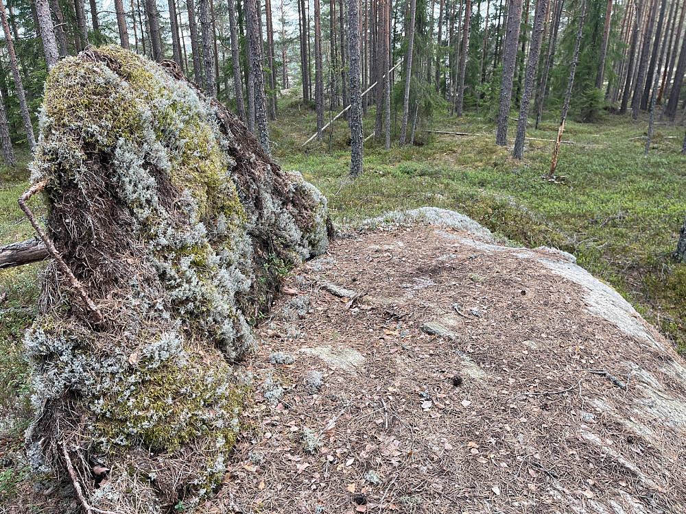 Bæråsen