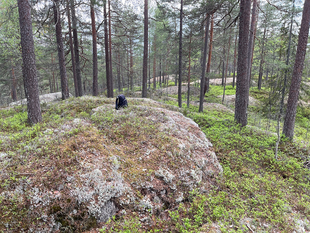 Sponåsen