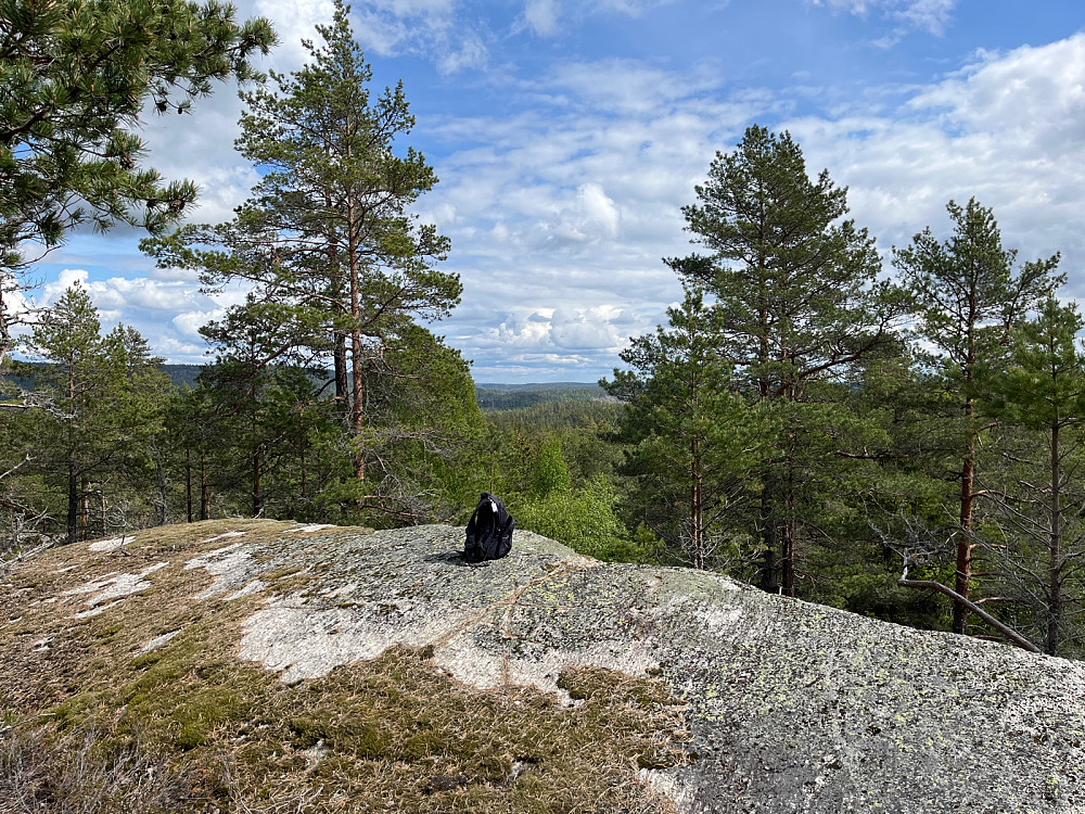 Jevikåsen