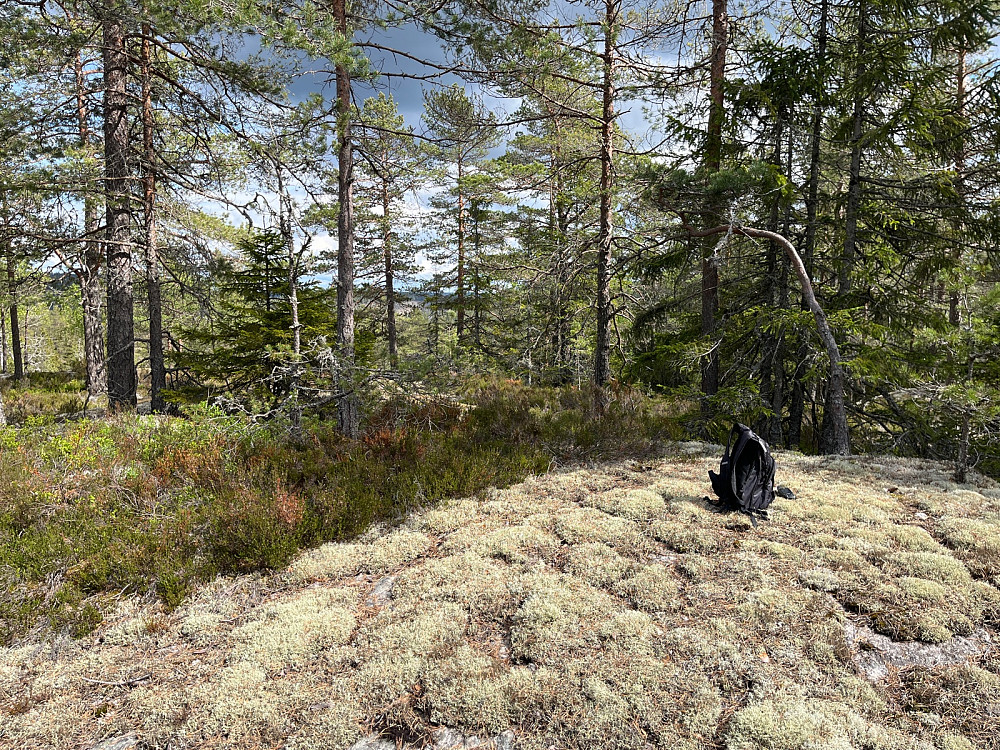 Sotåsen