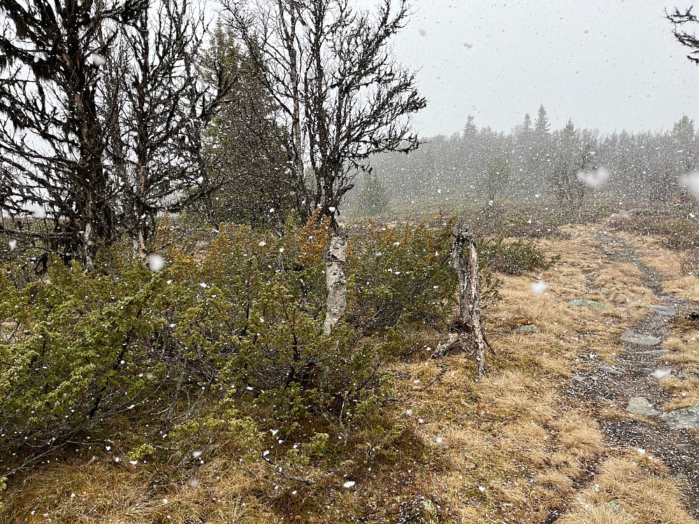 snø sist i mai