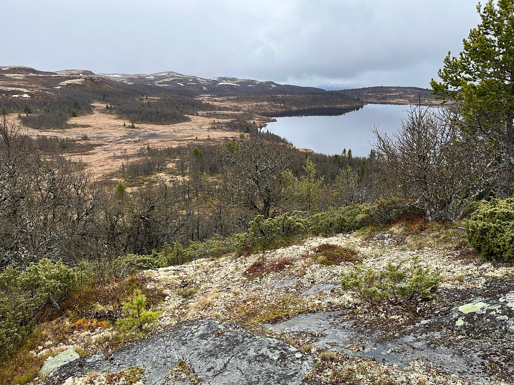 Utsikt fra topp 1005,2