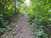 Osten_20220821_630215328f4ae.jpg