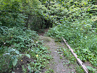 Osten_20220821_630215333cde6.jpg