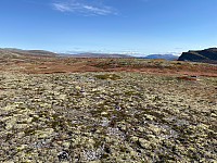 Osten_20220911_631dfc932d67c.jpg