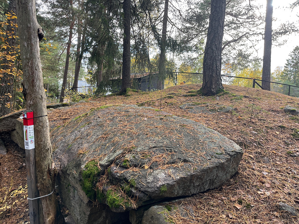 Ammerudkollen