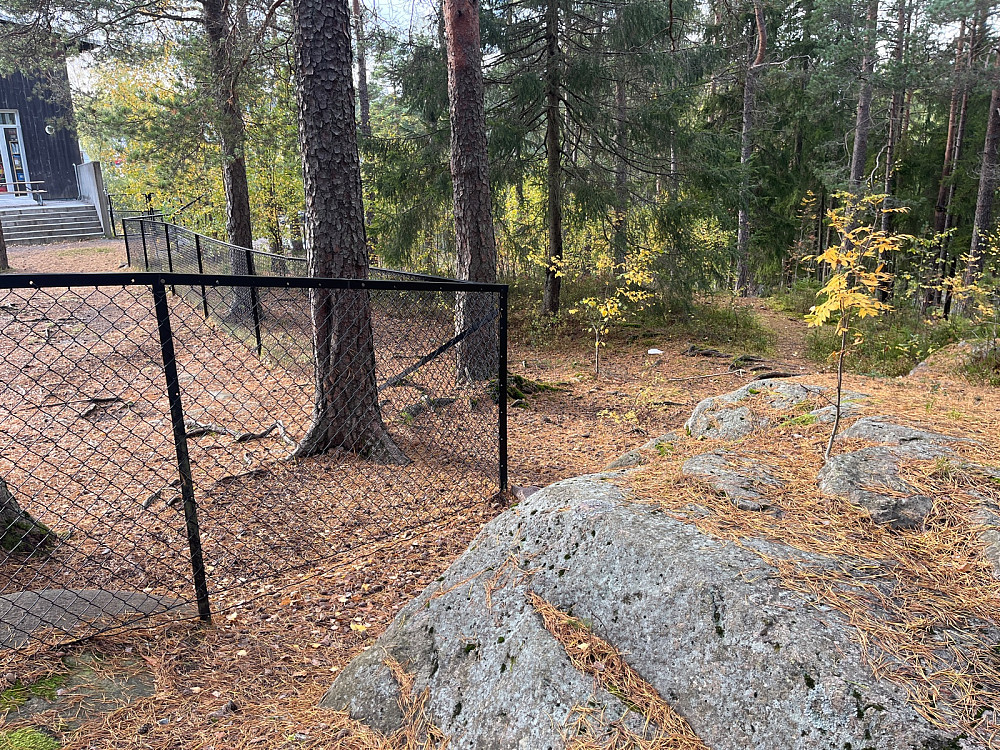 Ammerudkollen med høyste punt i enden av barnehagen