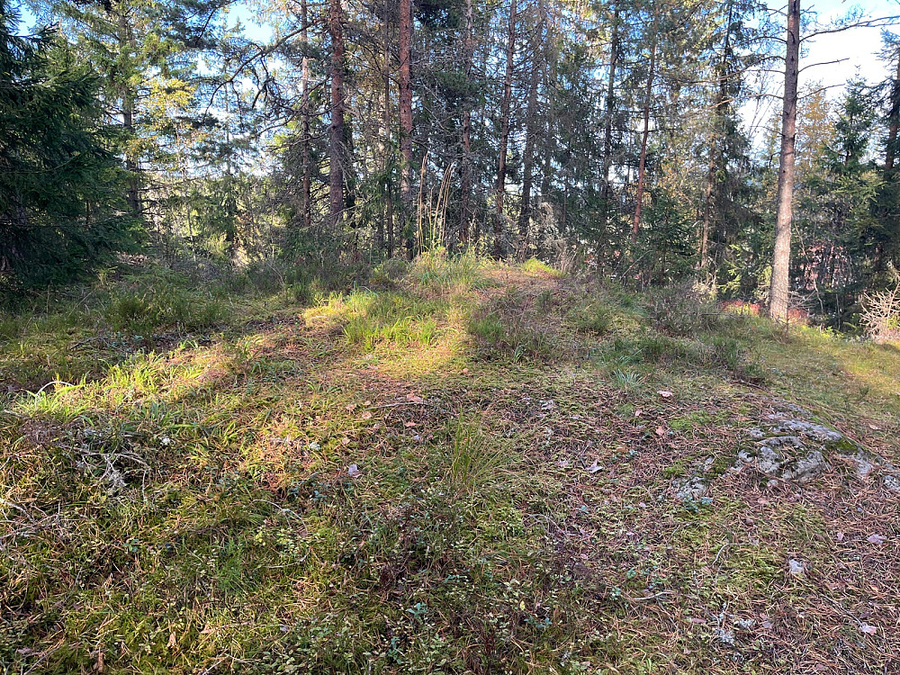 Den første markerte toppen på Flatberget