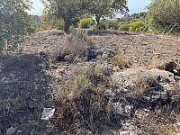 Osten_20221112_636fa2f016e07.jpg