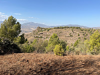 Osten_20221112_636fa2f1e70b7.jpg