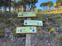 Osten_20221123_637e3e547dac6.jpg