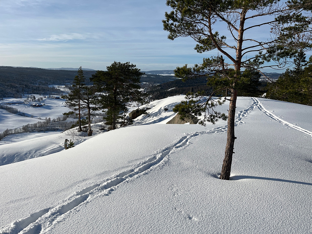 Vardåsen S2