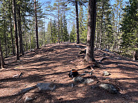 Osten_20230418_643eb3f7bacdc.jpg