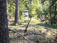 Osten_20230418_643eb3f8603b3.jpg