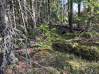 Osten_20230418_643eb3f8e6bf7.jpg