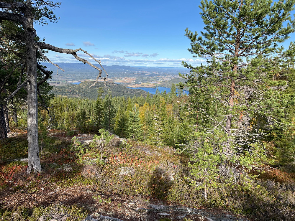 Utsikt mot Vestfossen