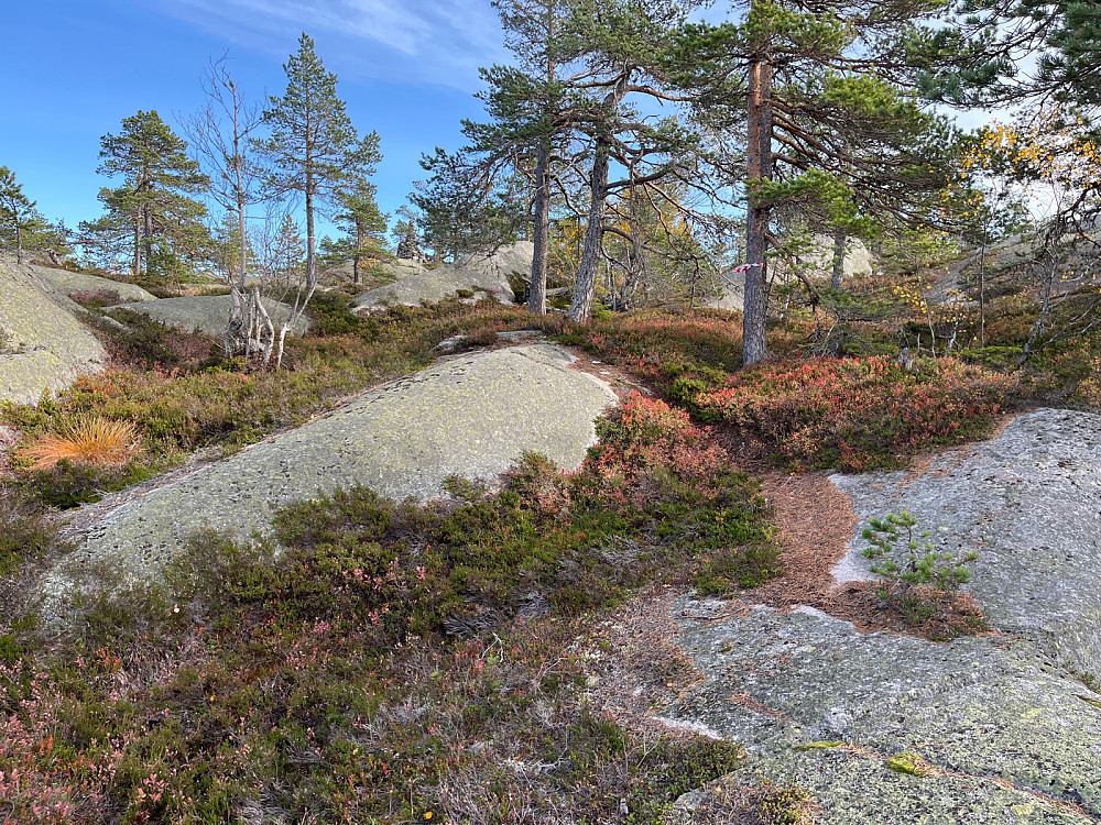 Toppen nærmer seg med masse bergknatter