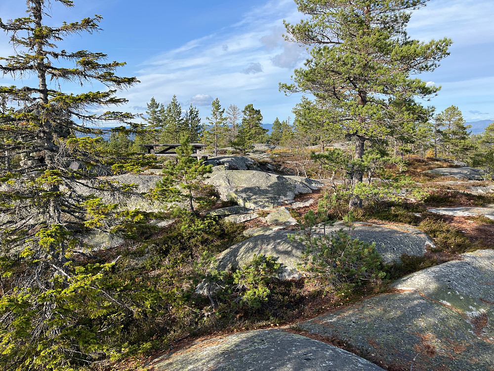 Nesfjellet