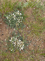 Osten_20240528_6655c404a3dc9.jpg