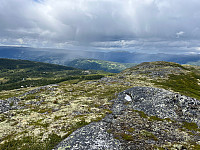 Osten_20240708_668bf31c7f7b8.jpg