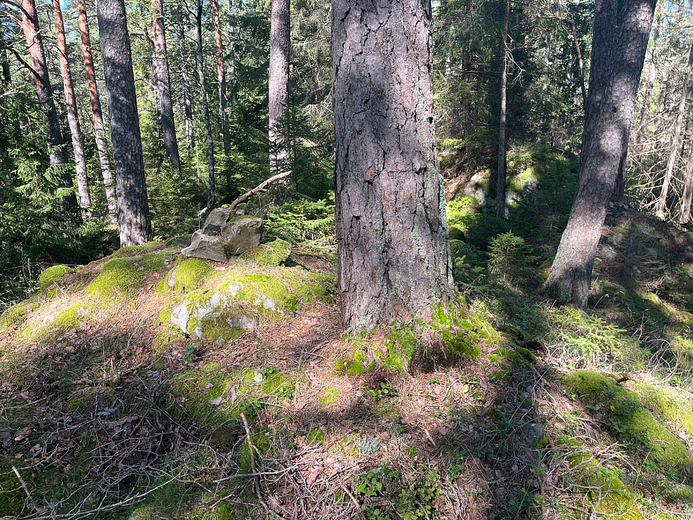 Varde på toppen av Gråøya