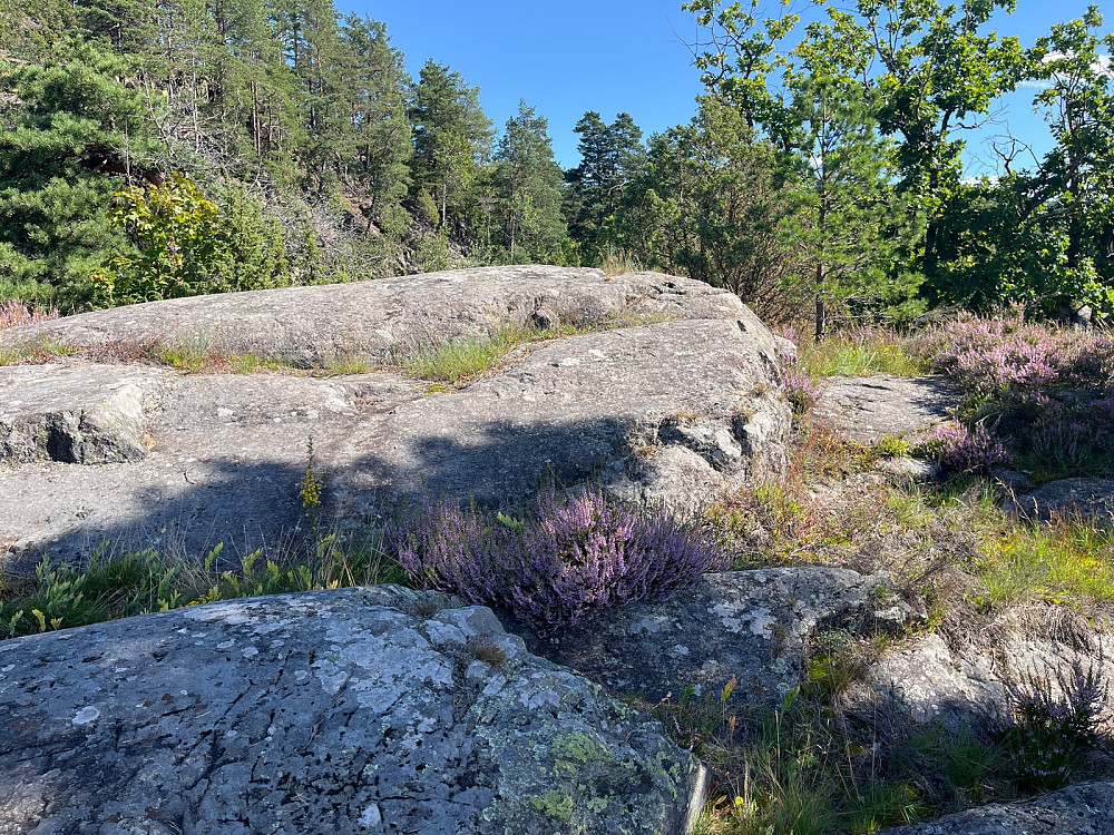 Klauholmen
