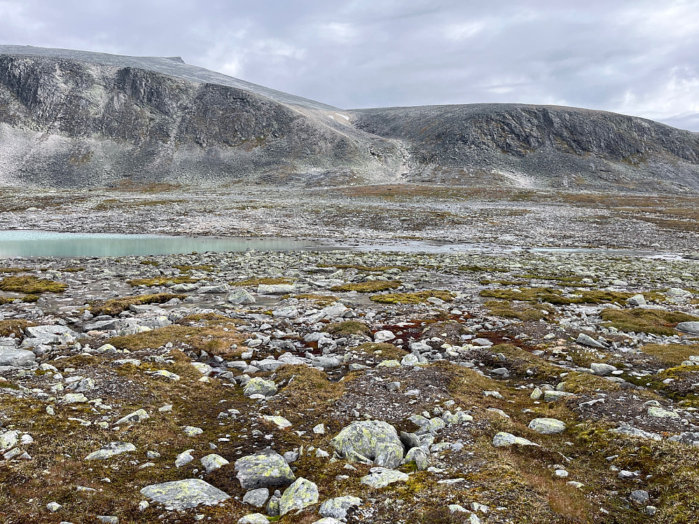 Utsikt mot vadepunktet ved utoset
