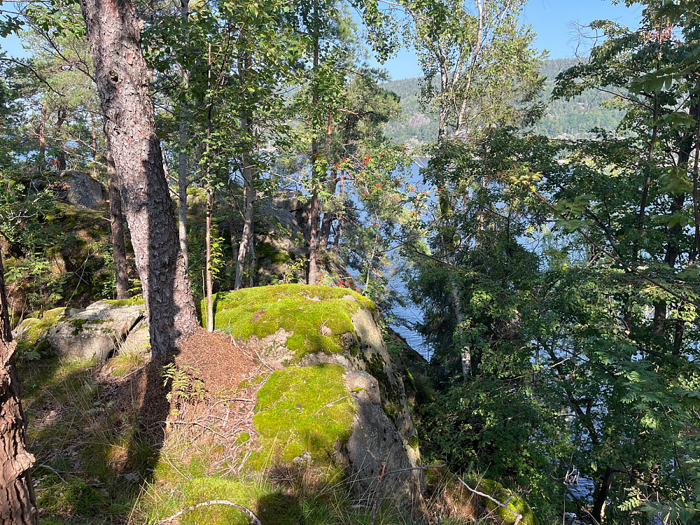 Furuholmen mot Håøya