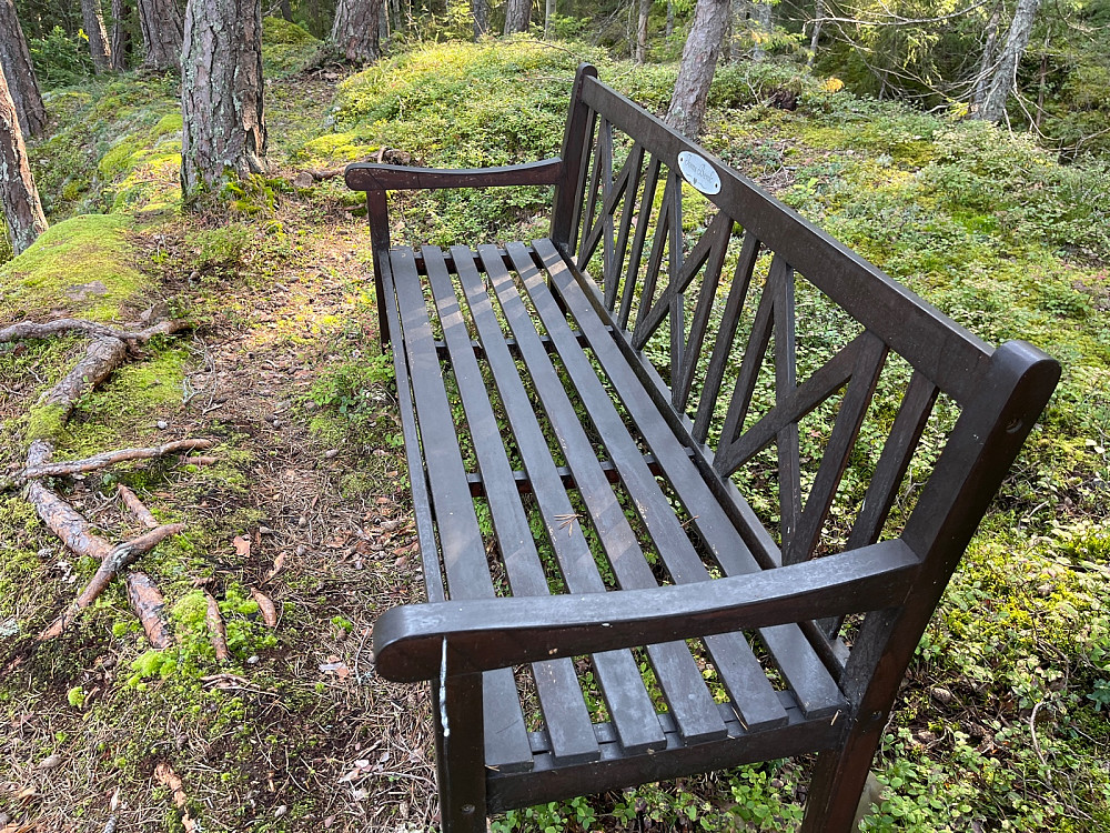 Benk i skogen på Torvøya