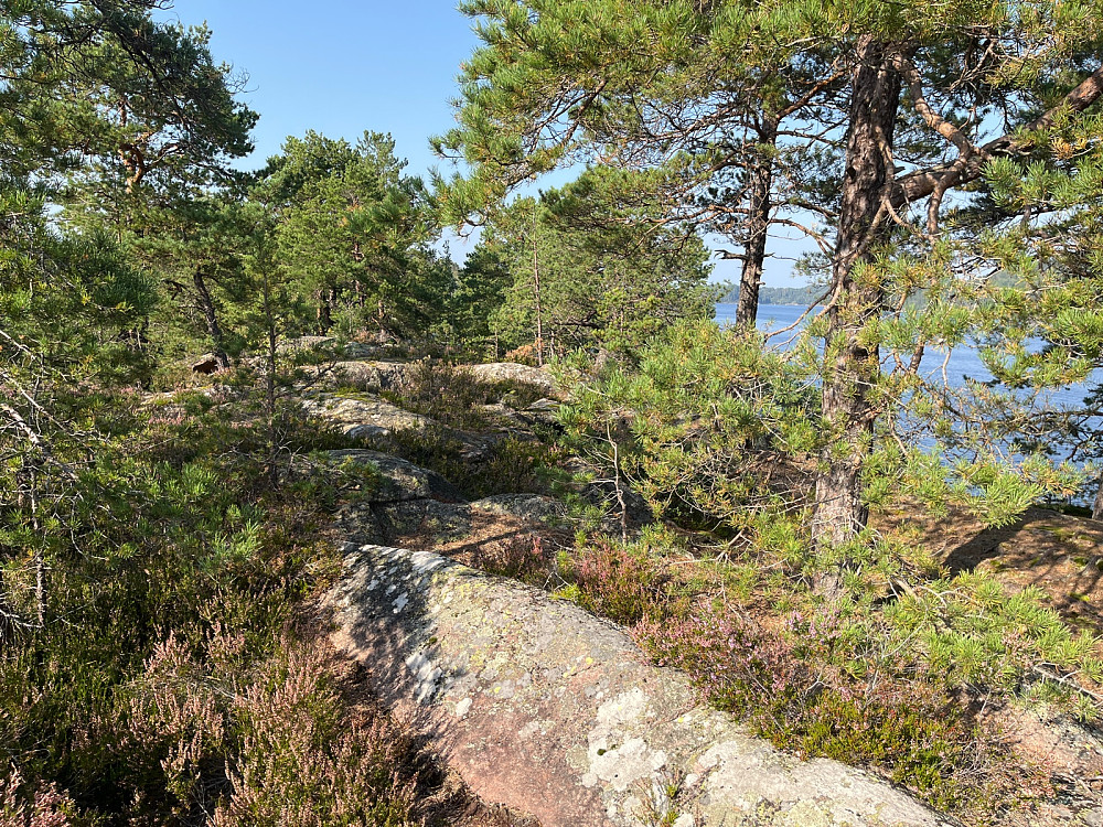 Toppen av nordre Raudholmen