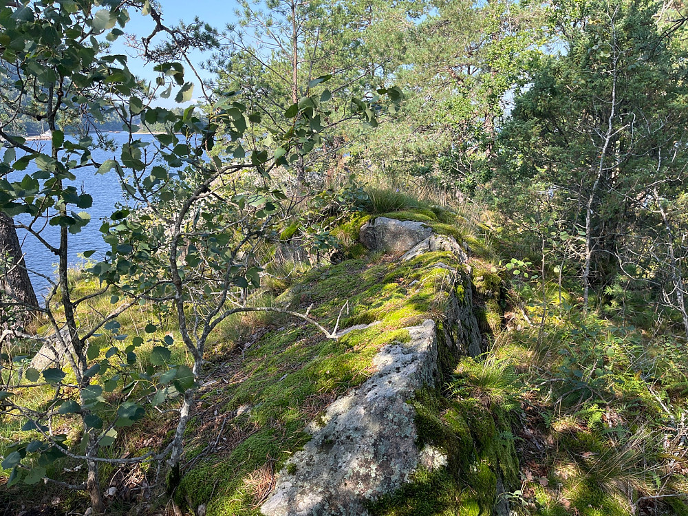 Toppen av Rognholmen